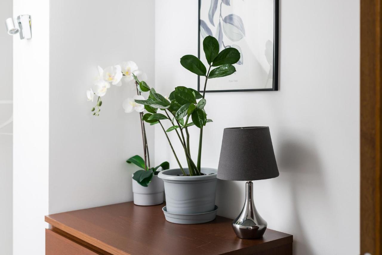 Apartament "Holy" Poznań Kültér fotó